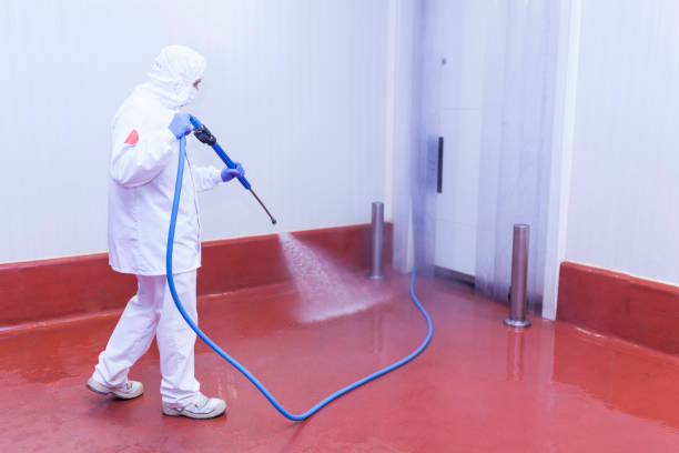 Best Pool Deck Cleaning in Villas, FL